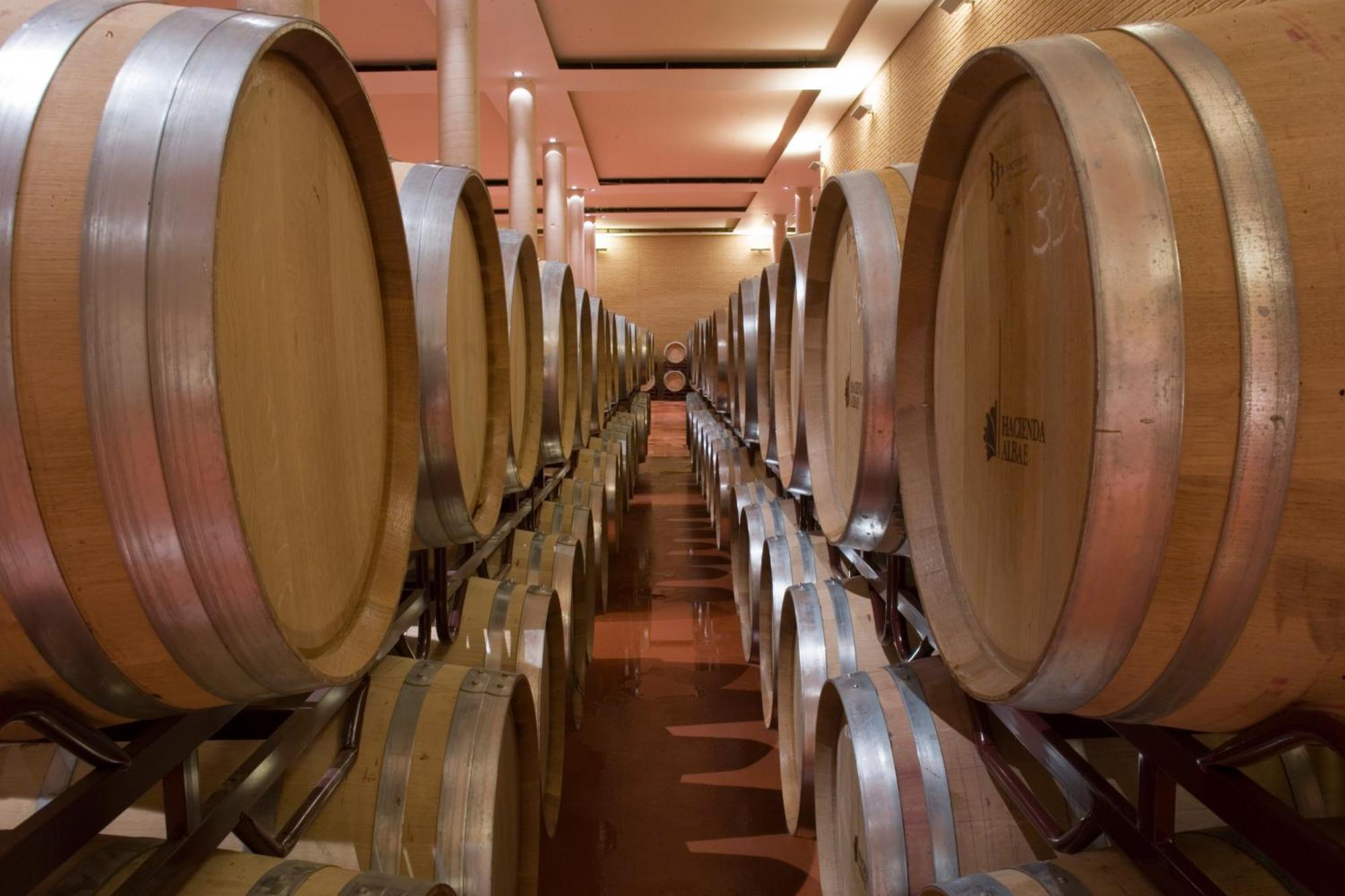 Pensjonat Bodegas Hacienda Albae Argamasilla de Alba Zewnętrze zdjęcie